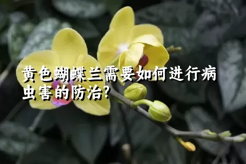 黄色蝴蝶兰需要如何进行病虫害的防治?