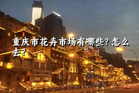 重庆市花卉市场有哪些？怎么去？