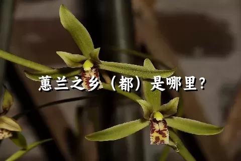 蕙兰之乡（都）是哪里？