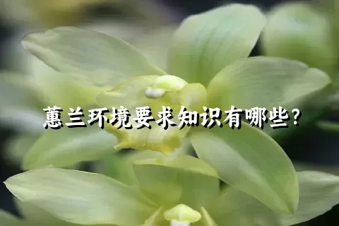 蕙兰环境要求知识有哪些？