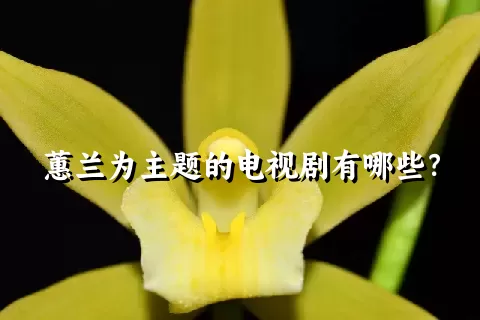 蕙兰为主题的电视剧有哪些？