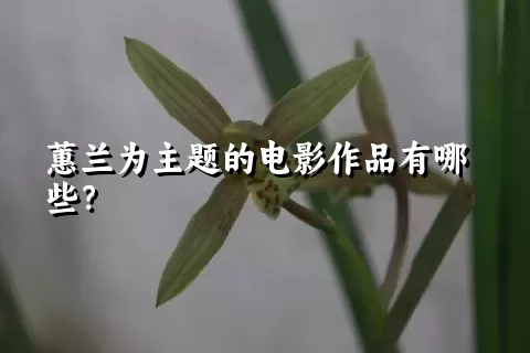 蕙兰为主题的电影作品有哪些？