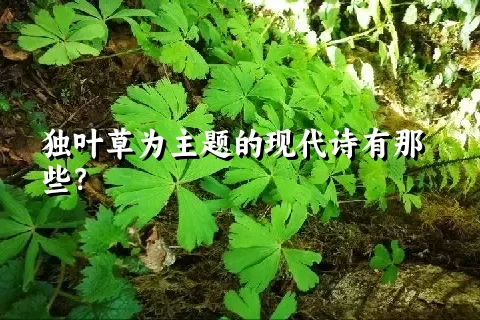 独叶草为主题的现代诗有那些？