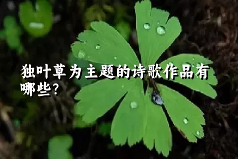 独叶草为主题的诗歌作品有哪些？