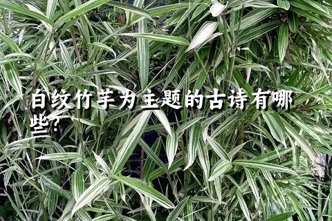 白纹竹芋为主题的古诗有哪些？