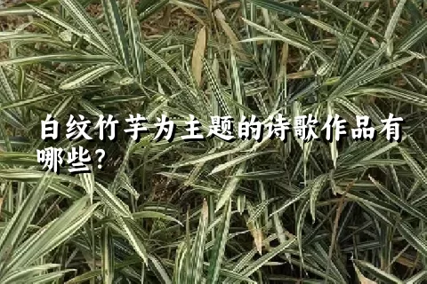 白纹竹芋为主题的诗歌作品有哪些？