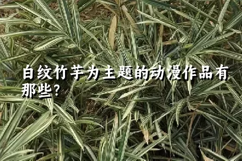 白纹竹芋为主题的动漫作品有那些？