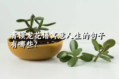 青锁龙花语寓意人生的句子有哪些？