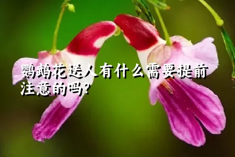 鹦鹉花送人有什么需要提前注意的吗？