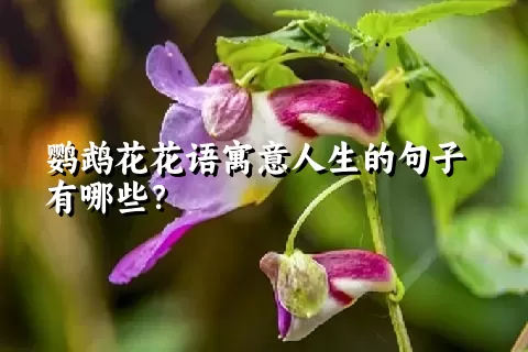 鹦鹉花花语寓意人生的句子有哪些？