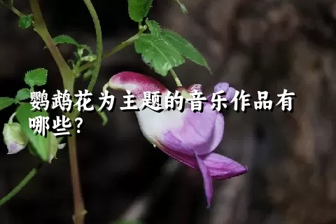 鹦鹉花为主题的音乐作品有哪些？