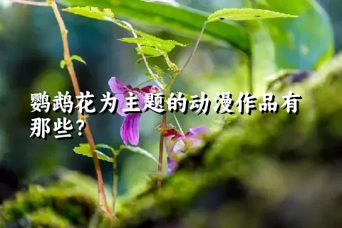 鹦鹉花为主题的动漫作品有那些？