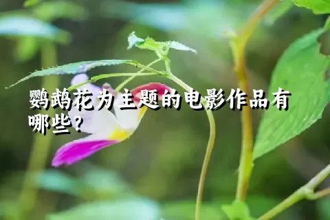 鹦鹉花为主题的电影作品有哪些？