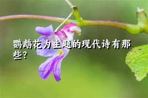 鹦鹉花为主题的现代诗有那些？