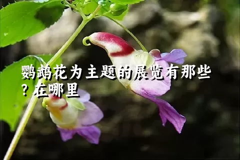 鹦鹉花为主题的展览有那些？在哪里