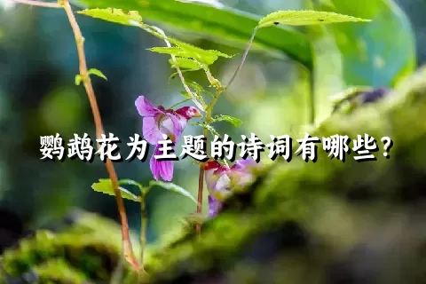 鹦鹉花为主题的诗词有哪些？