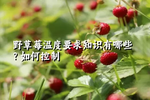 野草莓温度要求知识有哪些？如何控制