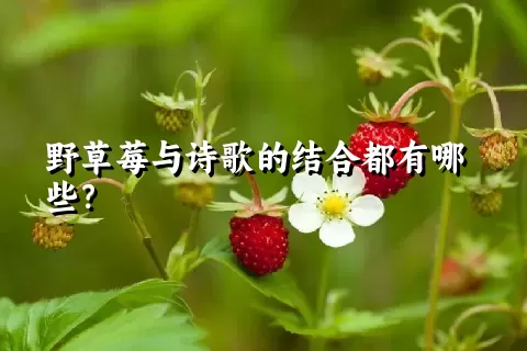 野草莓与诗歌的结合都有哪些？