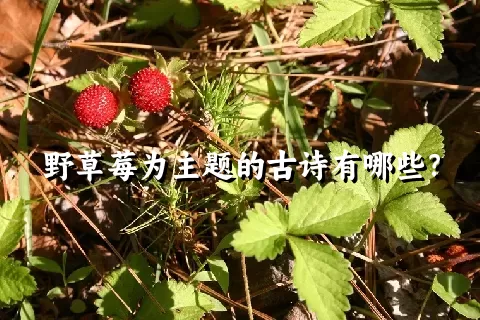 野草莓为主题的古诗有哪些？