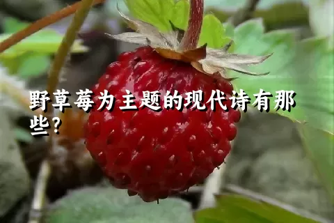 野草莓为主题的现代诗有那些？