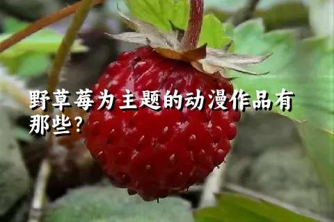 野草莓为主题的动漫作品有那些？