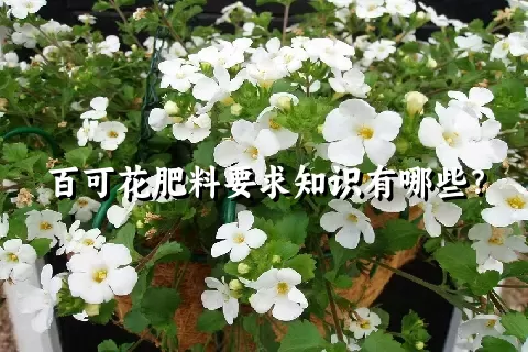 百可花肥料要求知识有哪些？