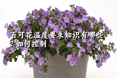 百可花温度要求知识有哪些？如何控制