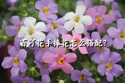 百可花手捧花怎么搭配？