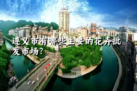 遵义市有哪些主要的花卉批发市场？