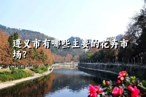 遵义市有哪些主要的花卉市场？