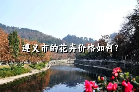 遵义市的花卉价格如何？