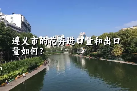 遵义市的花卉进口量和出口量如何？