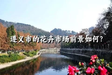 遵义市的花卉市场前景如何？