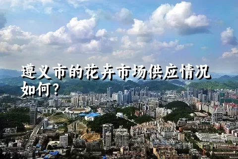 遵义市的花卉市场供应情况如何？