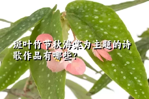 斑叶竹节秋海棠为主题的诗歌作品有哪些？