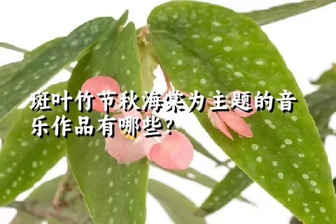 斑叶竹节秋海棠为主题的音乐作品有哪些？