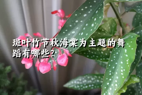 斑叶竹节秋海棠为主题的舞蹈有哪些？