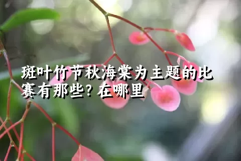 斑叶竹节秋海棠为主题的比赛有那些？在哪里