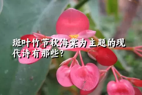 斑叶竹节秋海棠为主题的现代诗有那些？