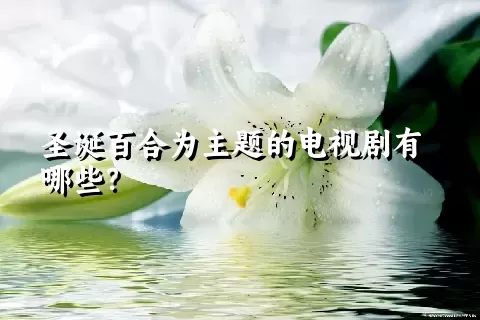 圣诞百合为主题的电视剧有哪些？