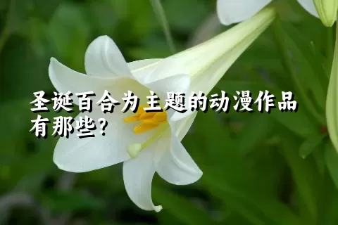 圣诞百合为主题的动漫作品有那些？