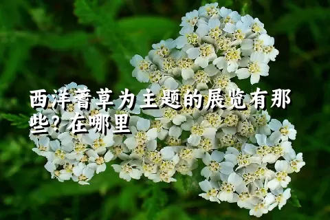 西洋蓍草为主题的展览有那些？在哪里