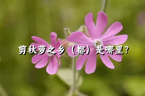 剪秋萝之乡（都）是哪里？