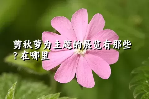 剪秋萝为主题的展览有那些？在哪里