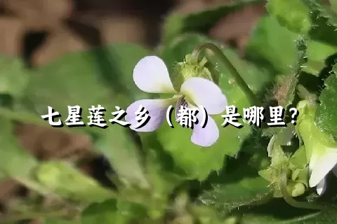 七星莲之乡（都）是哪里？