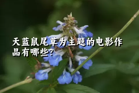 天蓝鼠尾草为主题的电影作品有哪些？