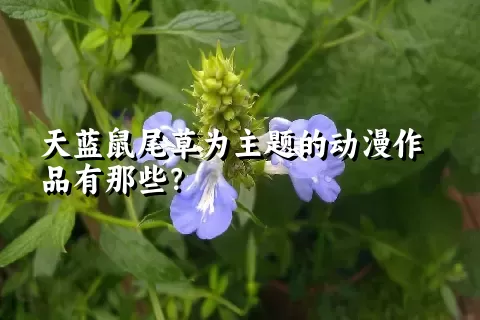 天蓝鼠尾草为主题的动漫作品有那些？