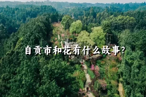 自贡市和花有什么故事？