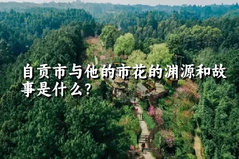 自贡市与他的市花的渊源和故事是什么？