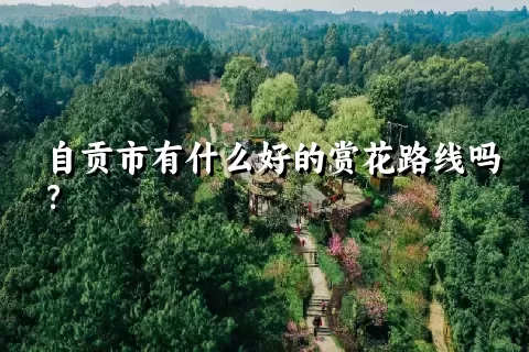 自贡市有什么好的赏花路线吗？